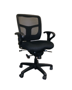 Ithaca Ultra Mid-Back Chair