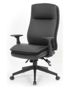 Tarragon / Executive High Back with Adjustable Arms
